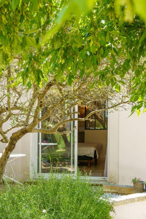 La Terrasse De L'Olivier Beaumes-de-Venise Exterior photo